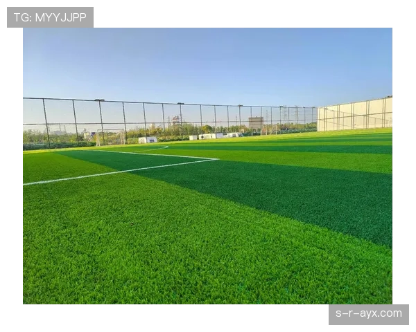 上海申花球迷文化传承：绿色海洋汇聚情怀与支持，彰显城市足球力量